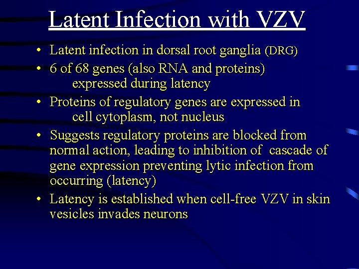 Latent Infection with VZV • Latent infection in dorsal root ganglia (DRG) • 6