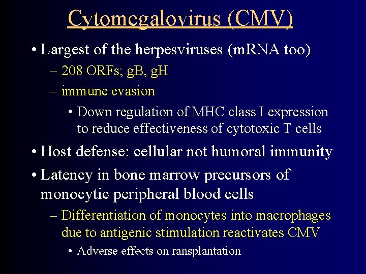 Cytomegalovirus (CMV) • Largest of the herpesviruses (m. RNA too) – 208 ORFs; g.