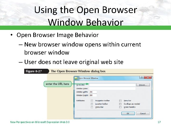 Using the Open Browser Window Behavior • Open Browser Image Behavior – New browser Using the Open Browser Window Behavior • Open Browser Image Behavior – New browser