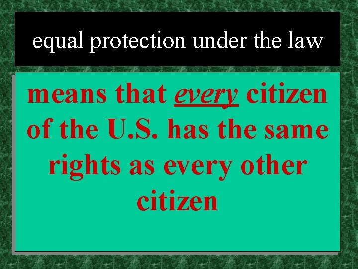 equal protection under the law means that every citizen of the U. S. has