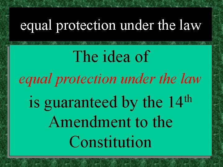 equal protection under the law The idea of equal protection under the law th