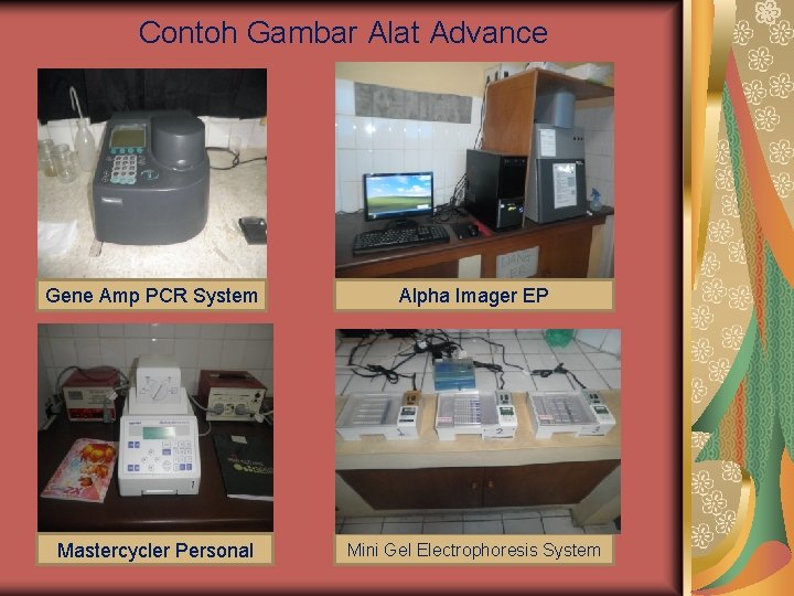 Contoh Gambar Alat Advance Gene Amp PCR System Alpha Imager EP Mastercycler Personal Mini