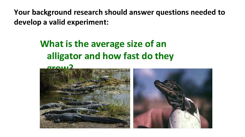 Your background research should answer questions needed to develop a valid experiment: What is
