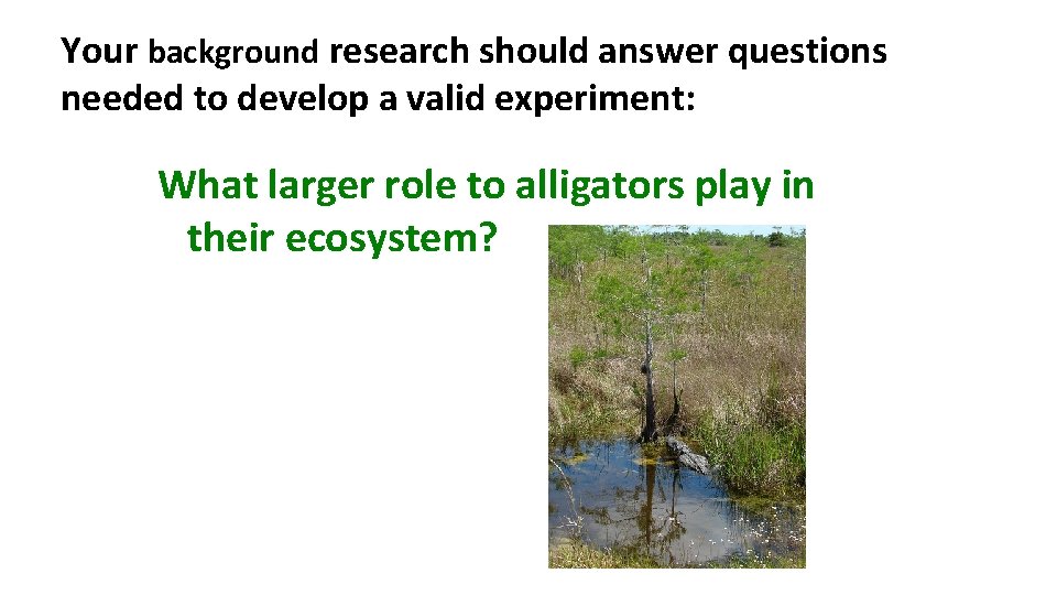 Your background research should answer questions needed to develop a valid experiment: What larger