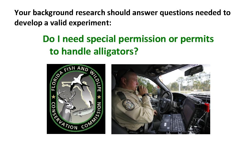 Your background research should answer questions needed to develop a valid experiment: Do I