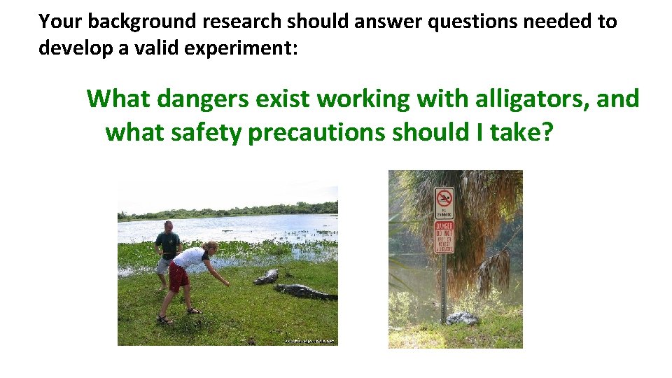 Your background research should answer questions needed to develop a valid experiment: What dangers