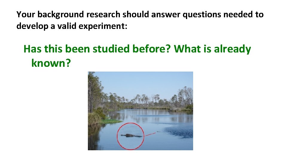 Your background research should answer questions needed to develop a valid experiment: Has this
