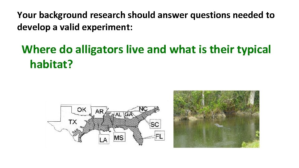 Your background research should answer questions needed to develop a valid experiment: Where do