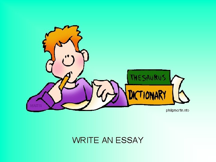 WRITE AN ESSAY 