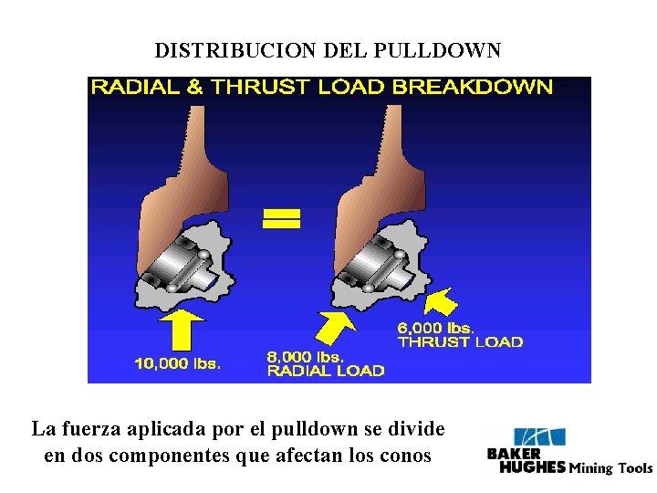 DISTRIBUCION DEL PULLDOWN La fuerza aplicada por el pulldown se divide en dos componentes