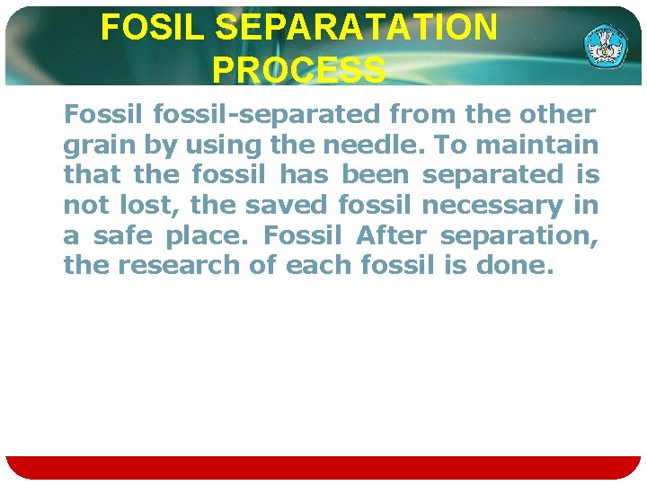 FOSIL SEPARATATION PROCESS Fossil fossil-separated from the other grain by using the needle. To