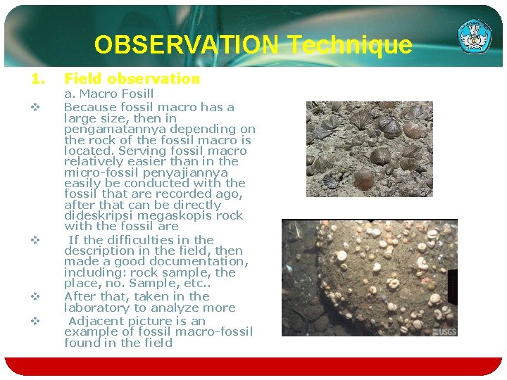 OBSERVATION Technique 1. v v Field observation a. Macro Fosill Because fossil macro has