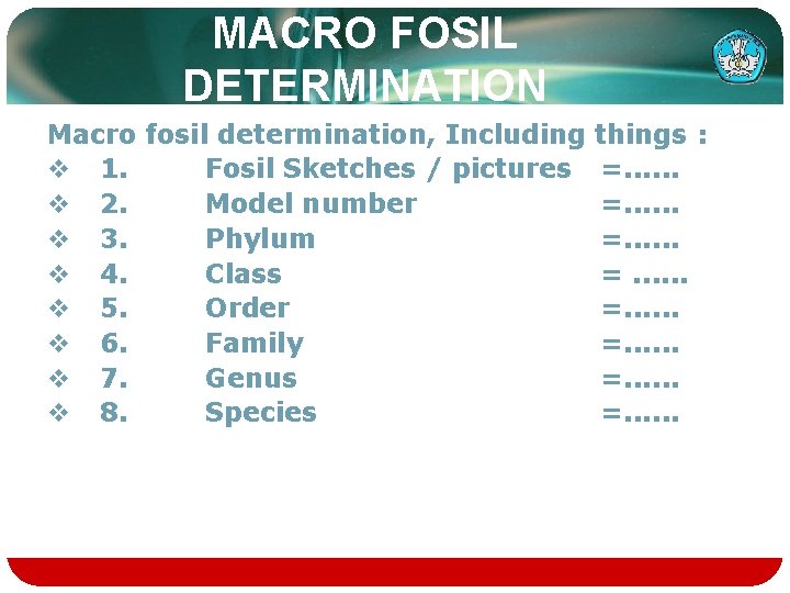 MACRO FOSIL DETERMINATION Macro fosil determination, Including v 1. Fosil Sketches / pictures v