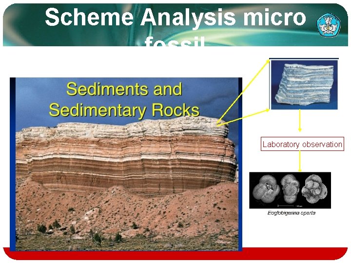 Scheme Analysis micro fossil Laboratory observation 