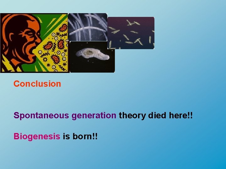 Conclusion Spontaneous generation theory died here!! Biogenesis is born!! 
