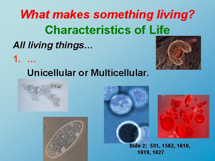 What makes something living? Characteristics of Life All living things… 1. … Unicellular or