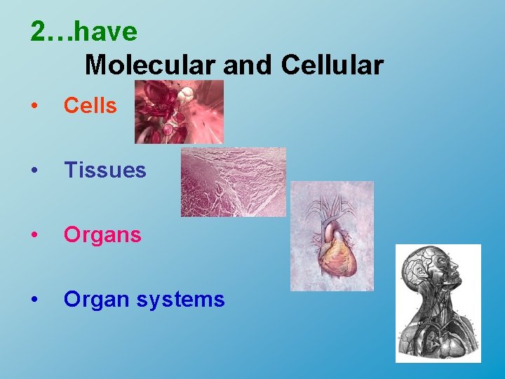 2…have Molecular and Cellular • Cells • Tissues • Organ systems 