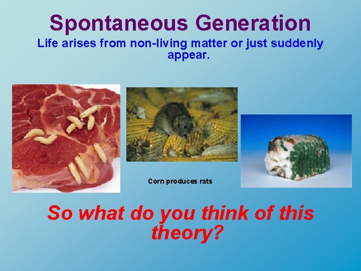 Spontaneous Generation Life arises from non-living matter or just suddenly appear. Meat grows maggots