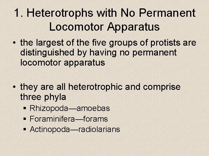 1. Heterotrophs with No Permanent Locomotor Apparatus • the largest of the five groups 1. Heterotrophs with No Permanent Locomotor Apparatus • the largest of the five groups