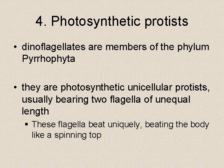 4. Photosynthetic protists • dinoflagellates are members of the phylum Pyrrhophyta • they are 4. Photosynthetic protists • dinoflagellates are members of the phylum Pyrrhophyta • they are