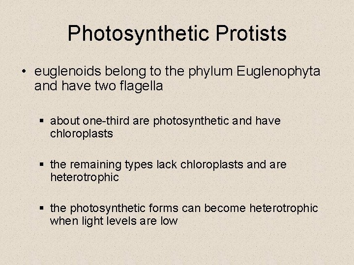 Photosynthetic Protists • euglenoids belong to the phylum Euglenophyta and have two flagella § Photosynthetic Protists • euglenoids belong to the phylum Euglenophyta and have two flagella §