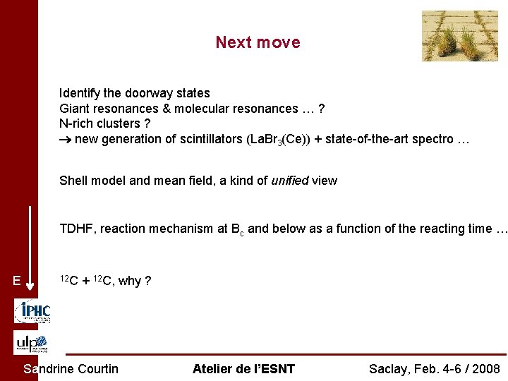 Next move Identify the doorway states Giant resonances & molecular resonances … ? N-rich