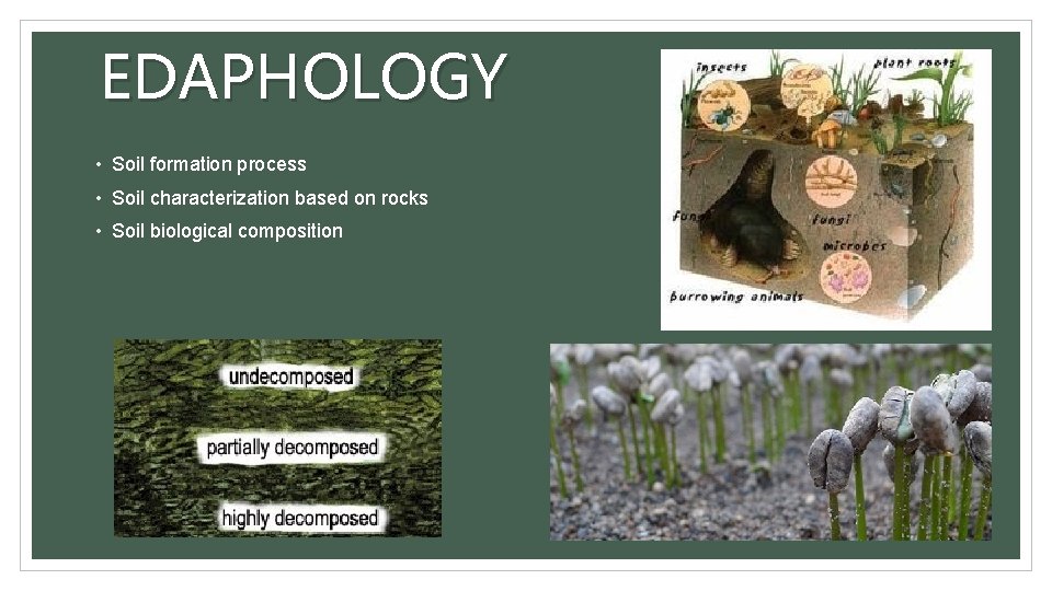 EDAPHOLOGY • Soil formation process • Soil characterization based on rocks • Soil biological