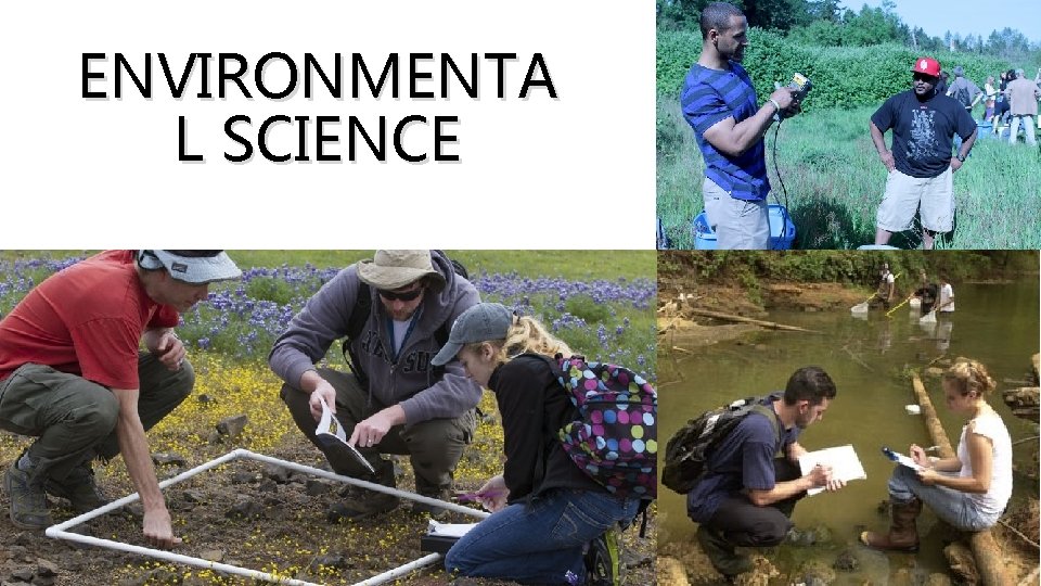 ENVIRONMENTA L SCIENCE 