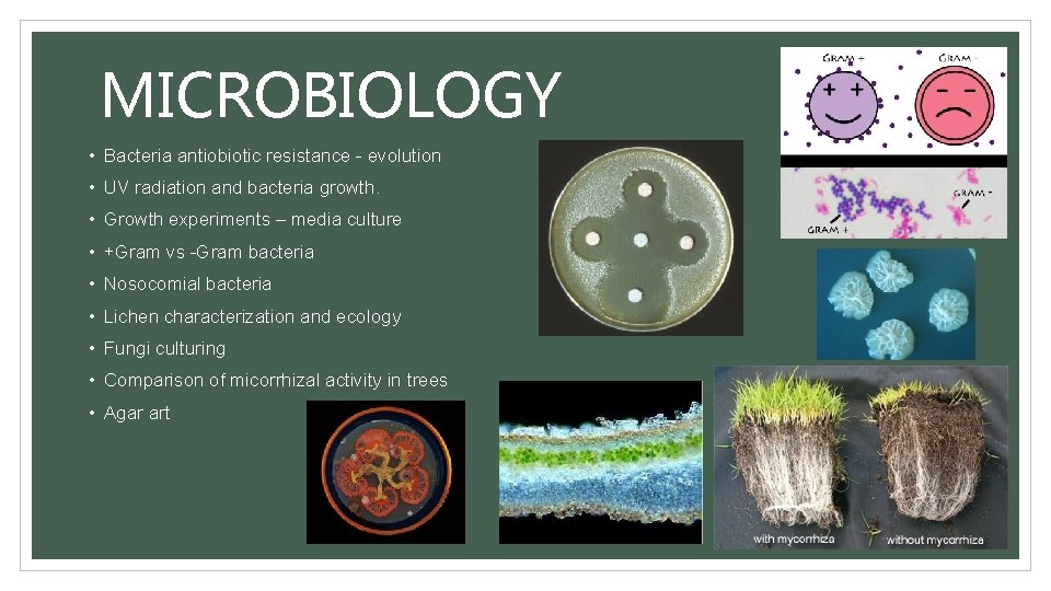 MICROBIOLOGY • Bacteria antiobiotic resistance - evolution • UV radiation and bacteria growth. •