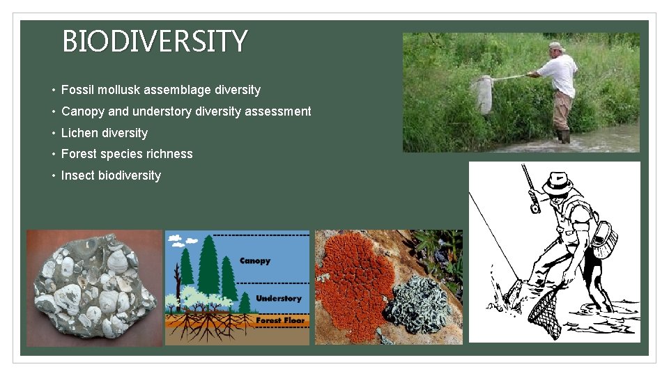 BIODIVERSITY • Fossil mollusk assemblage diversity • Canopy and understory diversity assessment • Lichen