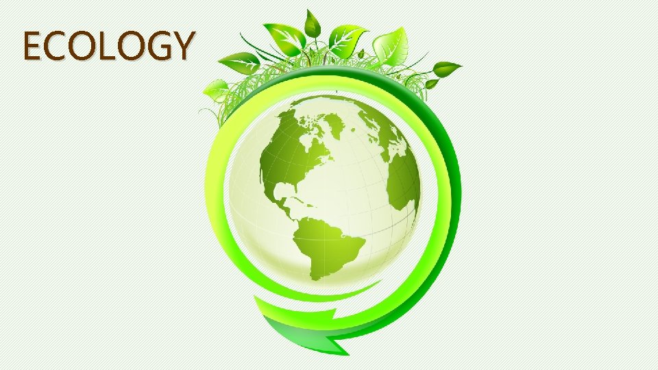 ECOLOGY 