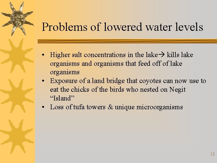 Problems of lowered water levels • Higher salt concentrations in the lake kills lake