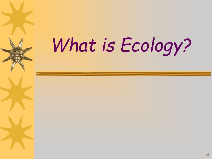 What is Ecology? 14 