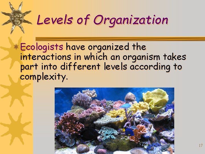 Levels of Organization ¬Ecologists have organized the interactions in which an organism takes part