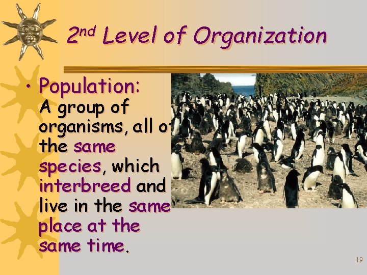 nd 2 Level of Organization • Population: A group of organisms, all of the