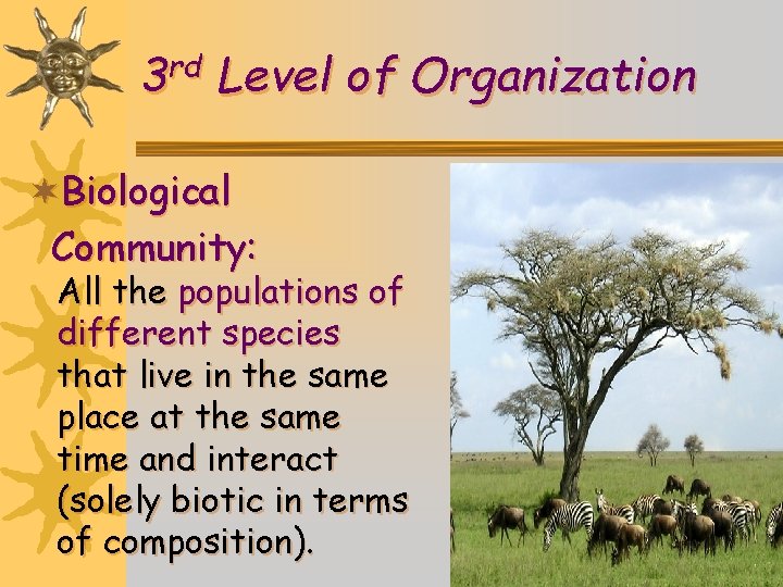 rd 3 Level of Organization ¬Biological Community: All the populations of different species that