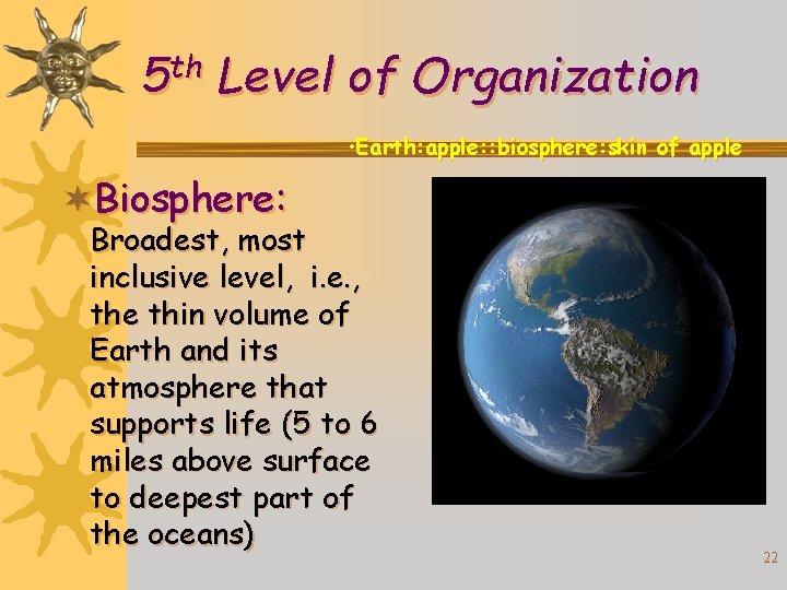 th 5 Level of Organization • Earth: apple: : biosphere: skin of apple ¬Biosphere: