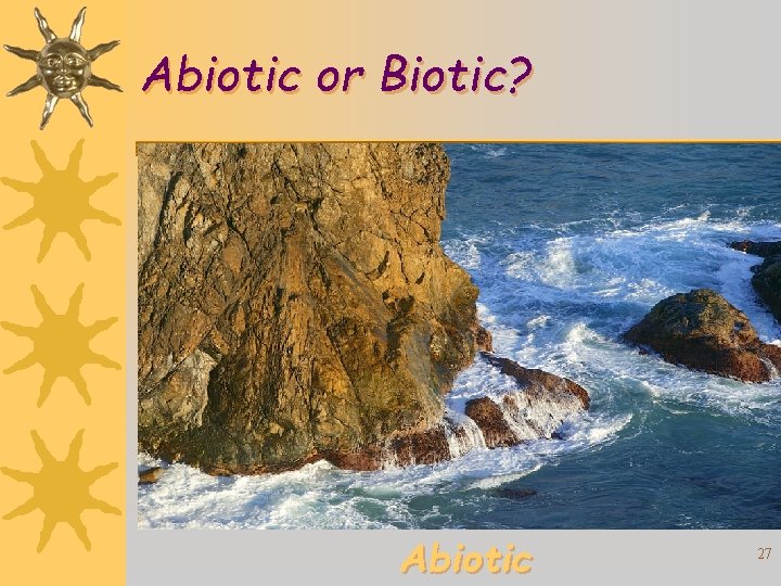 Abiotic or Biotic? Abiotic 27 