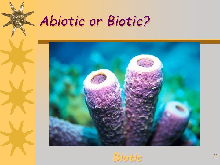 Abiotic or Biotic? Biotic 28 