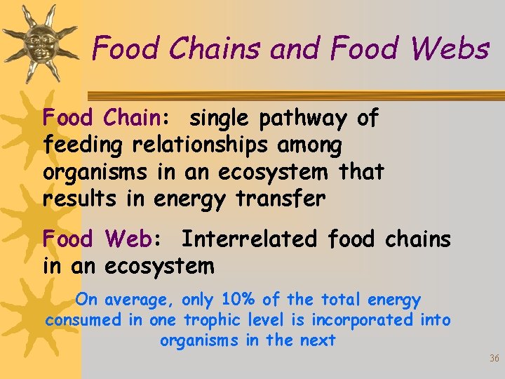 Food Chains and Food Webs Food Chain: single pathway of feeding relationships among organisms