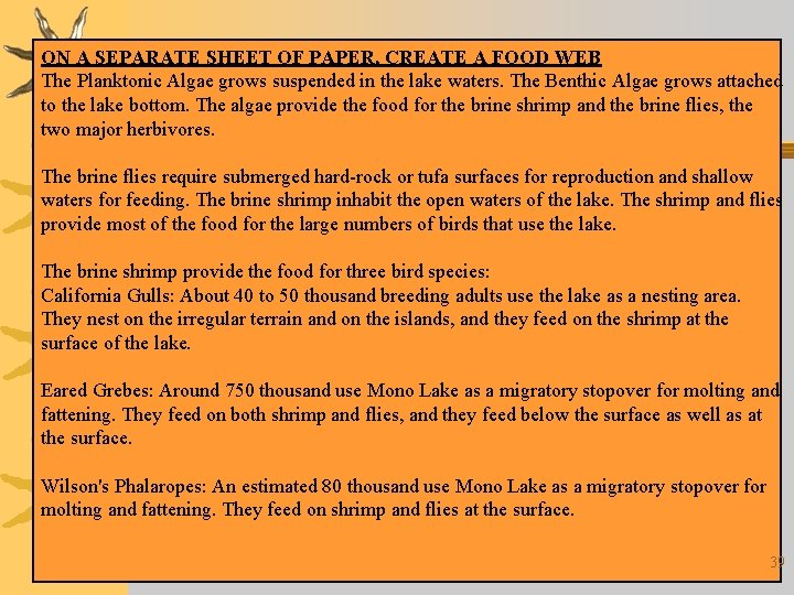 ON A SEPARATE SHEET OF PAPER, CREATE A FOOD WEB The Planktonic Algae grows