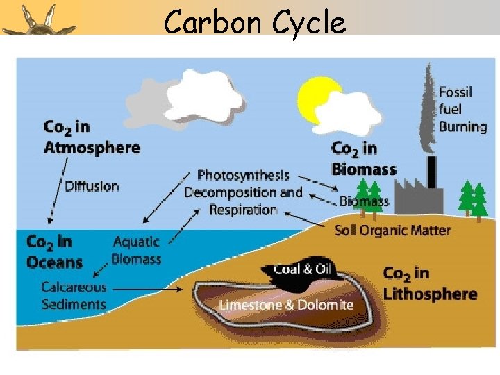 Carbon Cycle 43 