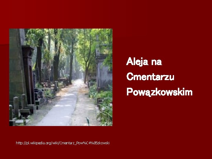 Aleja na Cmentarzu Powązkowskim http: //pl. wikipedia. org/wiki/Cmentarz_Pow%C 4%85 zkowski 