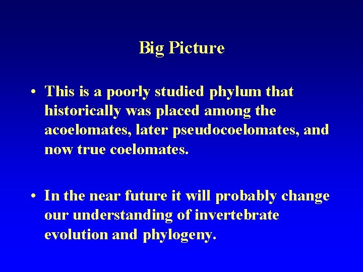 Big Picture • This is a poorly studied phylum that historically was placed among