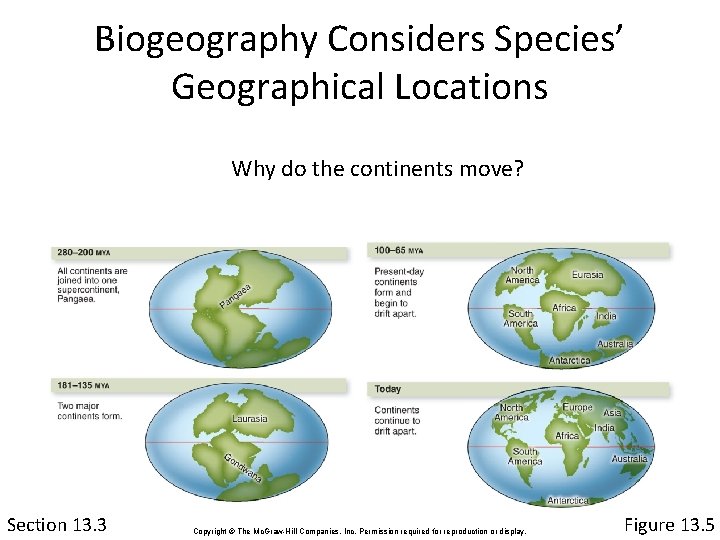 Biogeography Considers Species’ Geographical Locations Why do the continents move? Section 13. 3 Copyright