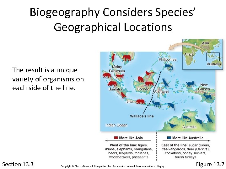 Biogeography Considers Species’ Geographical Locations The result is a unique variety of organisms on