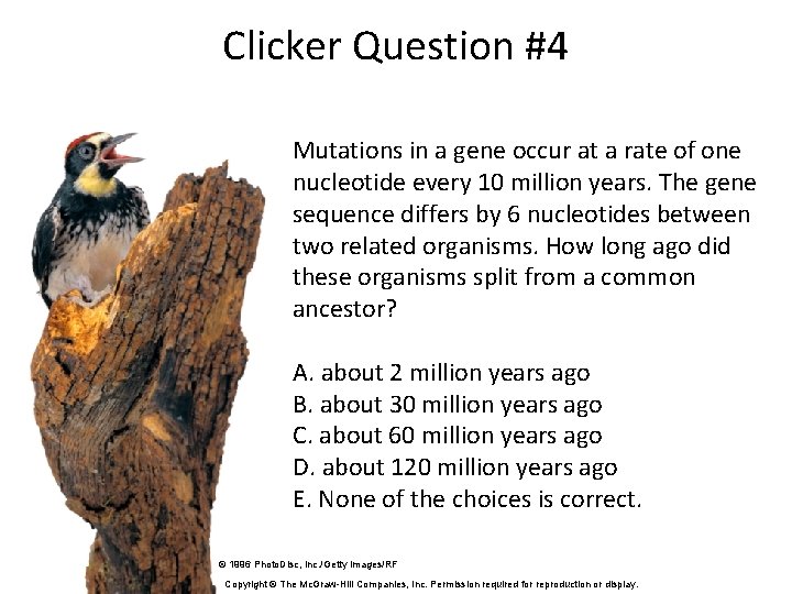 Clicker Question #4 Mutations in a gene occur at a rate of one nucleotide