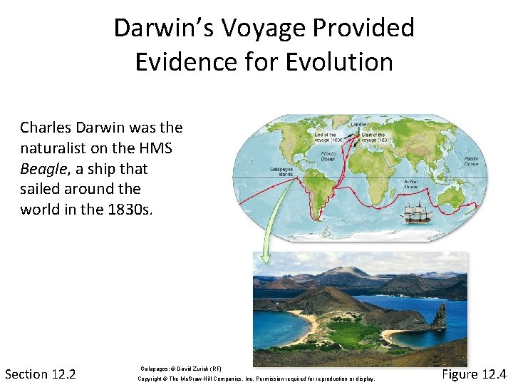 Darwin’s Voyage Provided Evidence for Evolution Charles Darwin was the naturalist on the HMS