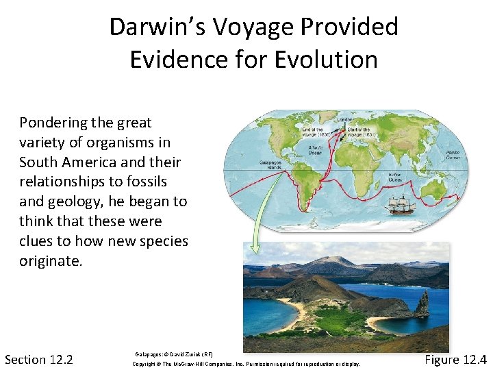 Darwin’s Voyage Provided Evidence for Evolution Pondering the great variety of organisms in South