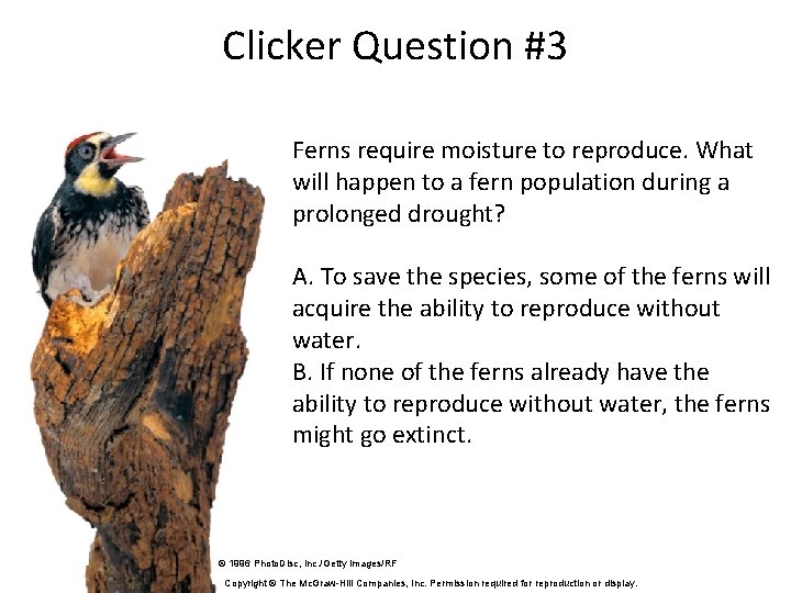 Clicker Question #3 Ferns require moisture to reproduce. What will happen to a fern